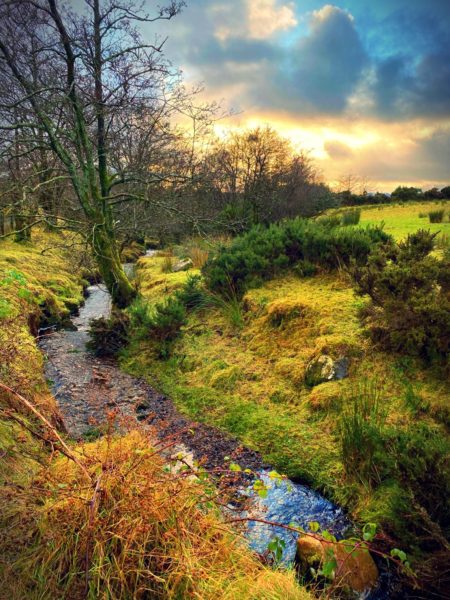 THE SPERRINS COLLECTION COMMISSION BESPOKE DRAWINGS AND PAINTINGS smhi6000