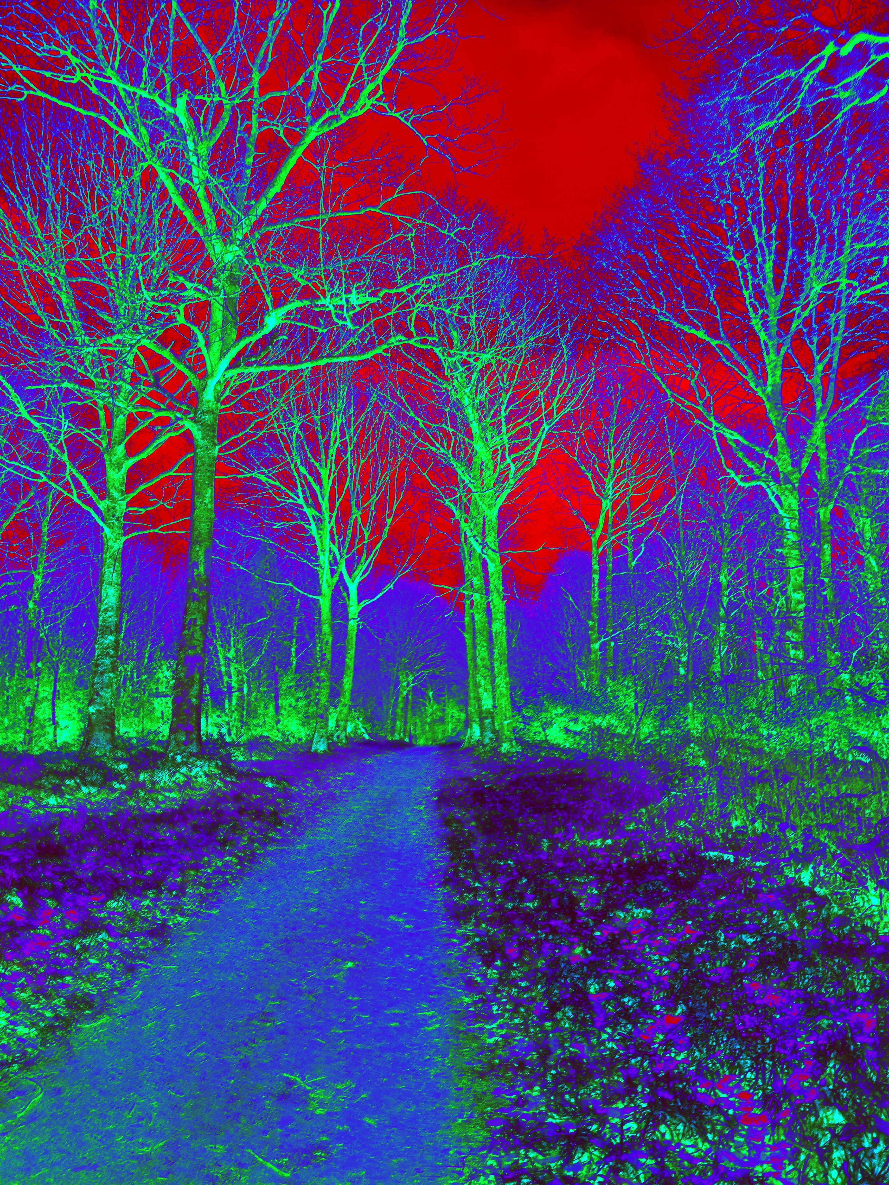 NFT Digital Art Original