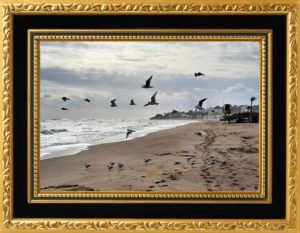 These online images can be presented as Fine Art Prints unframed at the standard print cost. If you want a framed option this can be discussed directly through email.